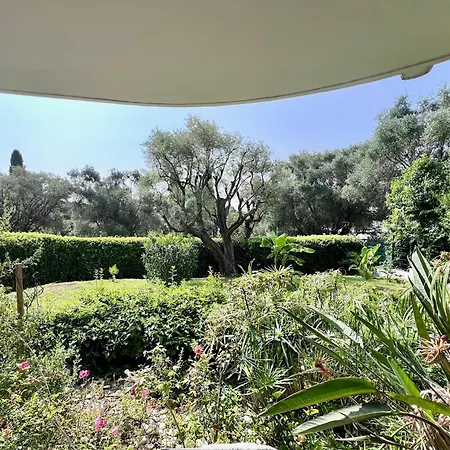 L'oranger D'azur * ז'ואן-לה-פינס