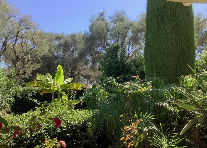 Apartment L'oranger D'azur